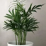 Like At Apartment *